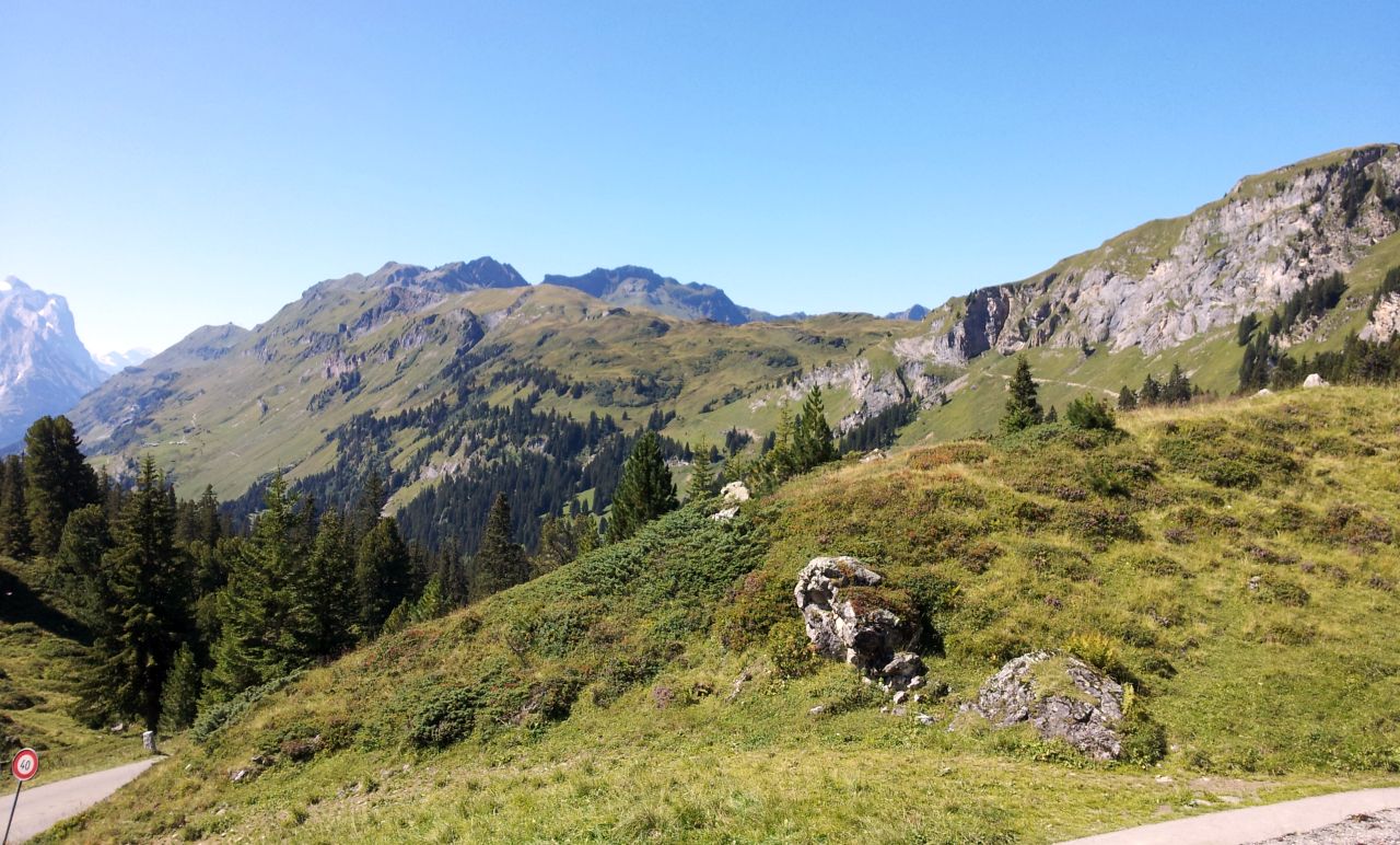 Auf der Engstlenalp...