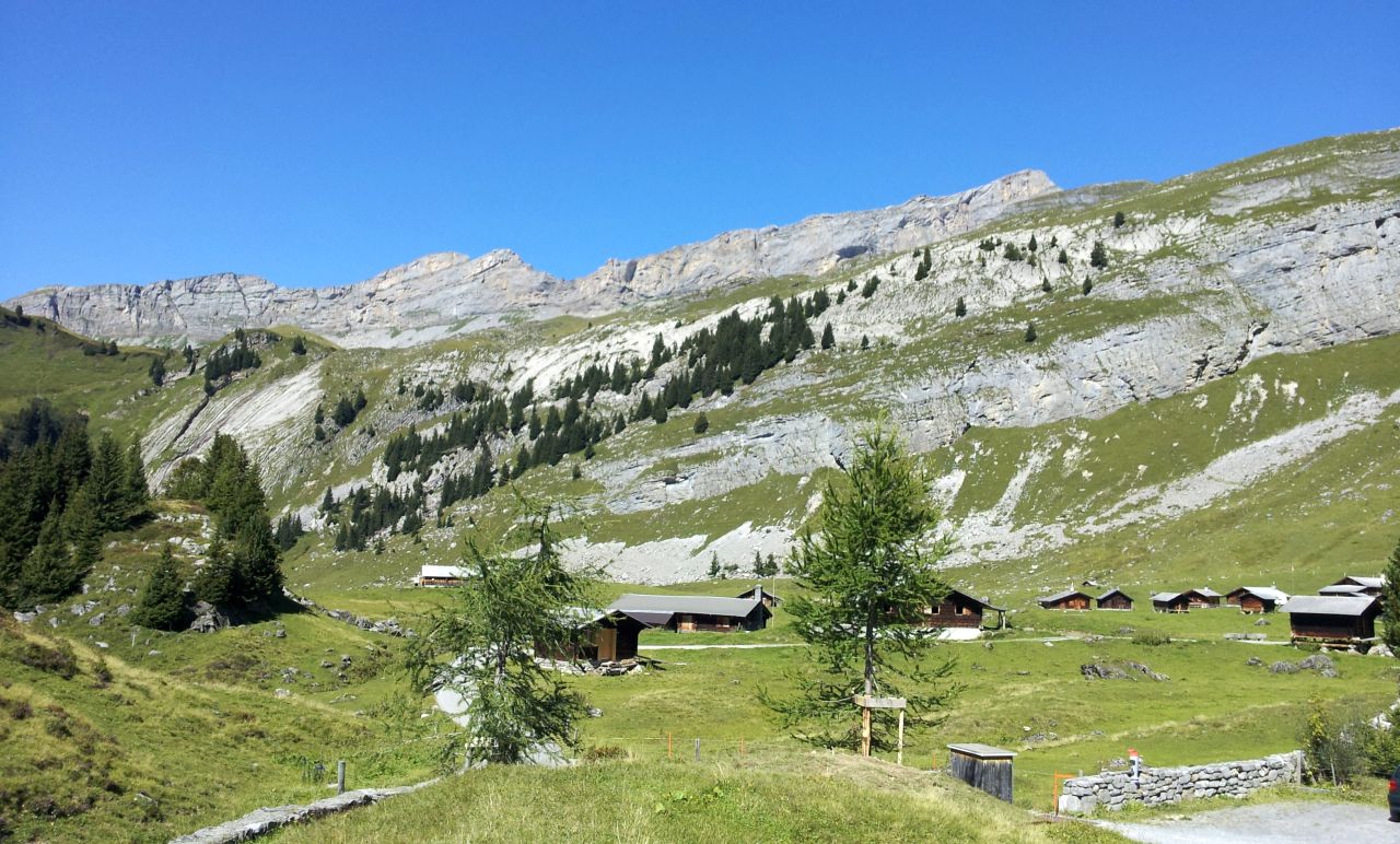 Auf der Engstlenalp...