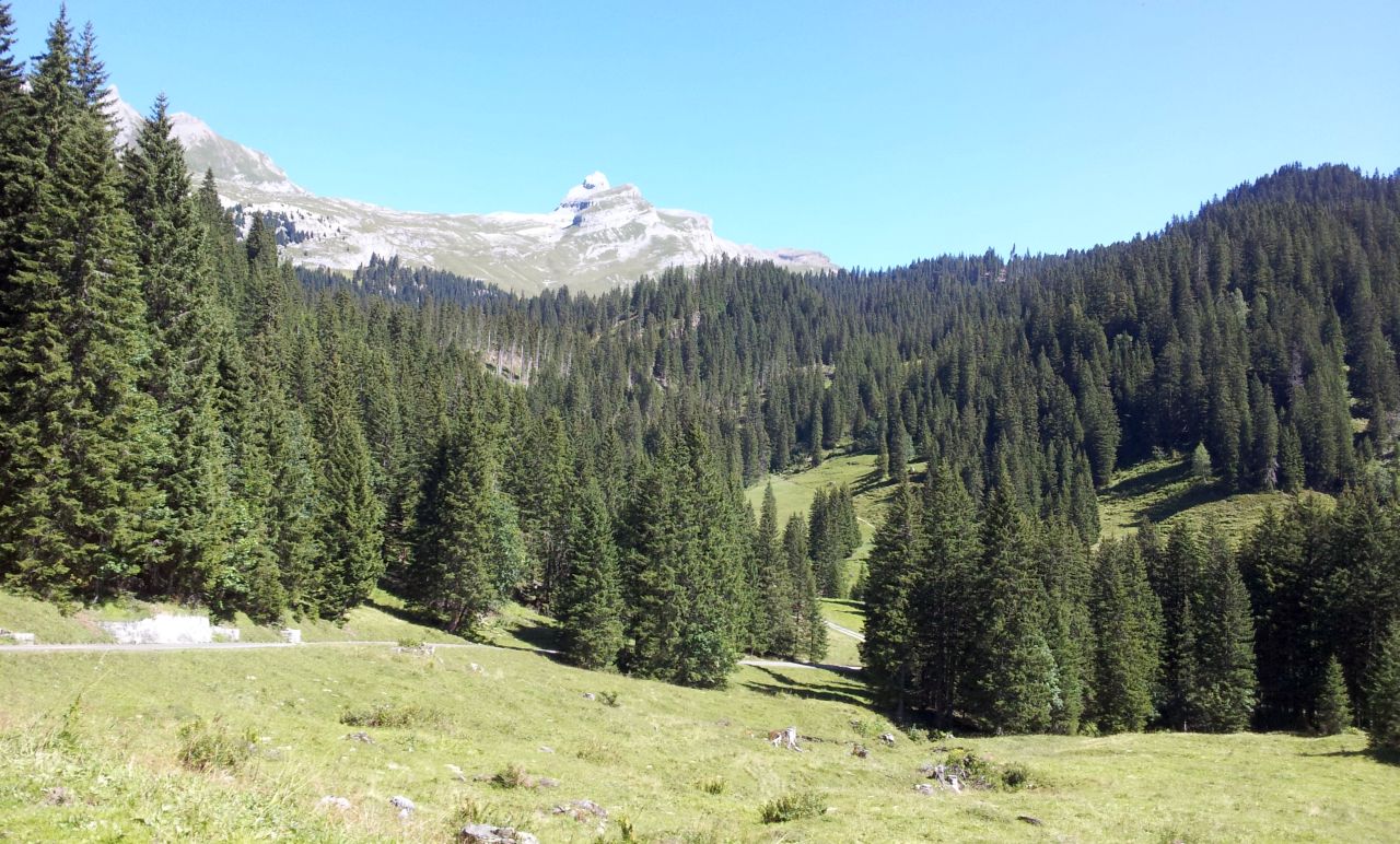 Von der Engstlenalp runter nach Meiringen...