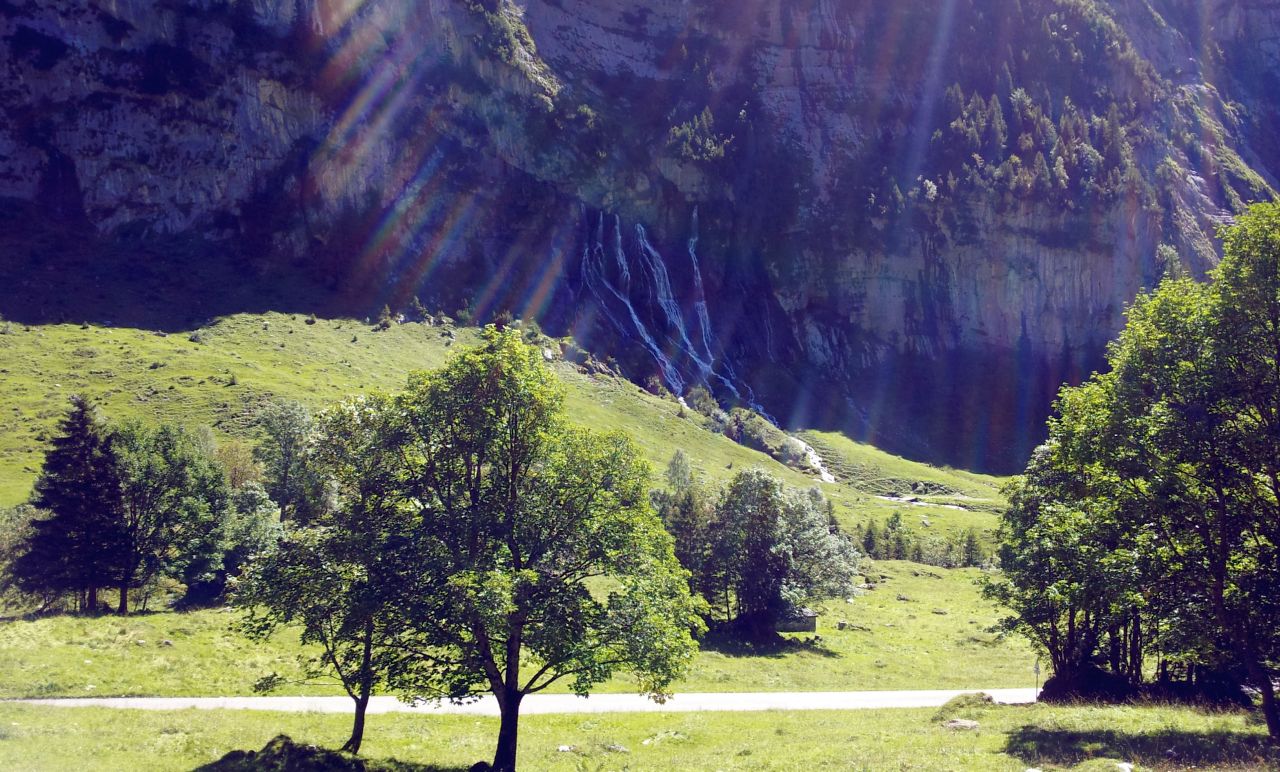 Von der Engstlenalp runter nach Meiringen...